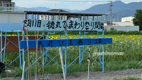 松前町の徳丸ひまわり畑に掲示された「ひまわり祭り」開催のお知らせ看板（2025年）