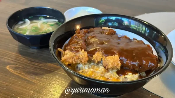 デミグラスソースと半熟卵がかかった道10（みち）の名物カツ丼2