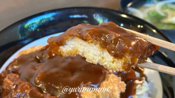 デミグラスソースと半熟卵がかかった道10（みち）の名物カツ丼4
