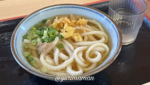菜の家の製麺所のかけうどん小 いりこ出汁と太めの麺