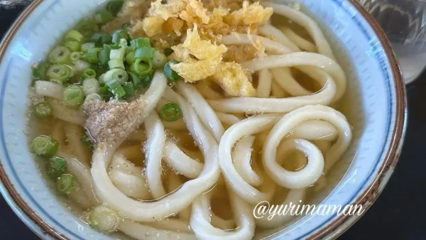 菜の家の製麺所のかけうどん小 いりこ出汁と太めの麺2