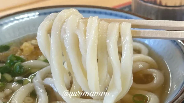 菜の家の製麺所 かけうどんの麺リフト ぷるぷる食感