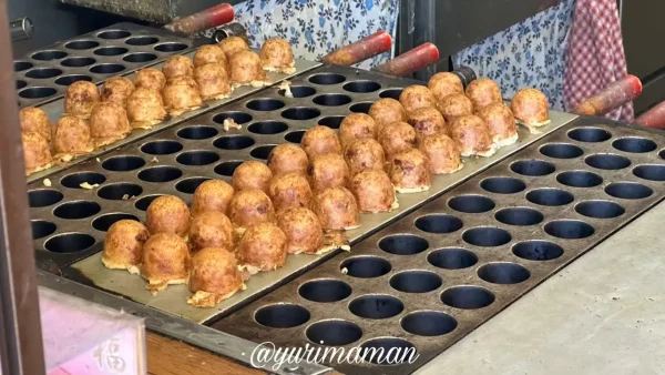 新居浜 えっちゃん ふわとろ食感のたこ焼き