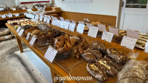 パン屋晴れの日（砥部町）パンがずらりと並ぶ内観1