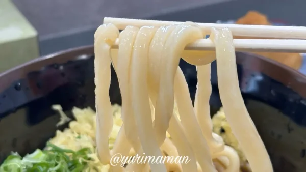 讃岐うどん製麺 一宮店のぶっかけうどん｜コシのある太めの麺