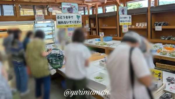西予市 道の駅どんぶり館 ぶどう祭り 2025 初日の午前中 大盛況の売り場の様子