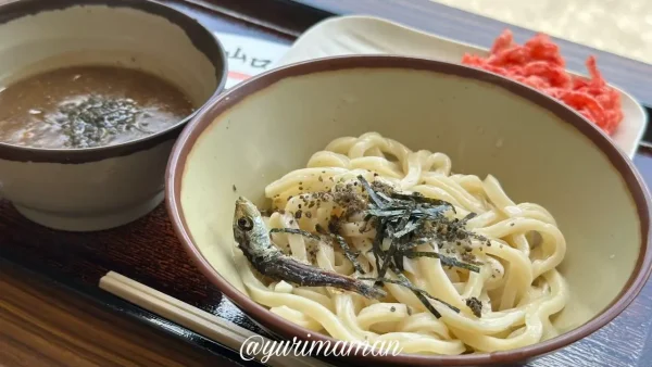 うどん山口の濃厚いりこつけ麺（四国中央市）1