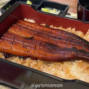 【閉店】うなぎ屋江戸名代亜門松山店｜サムネイル画像