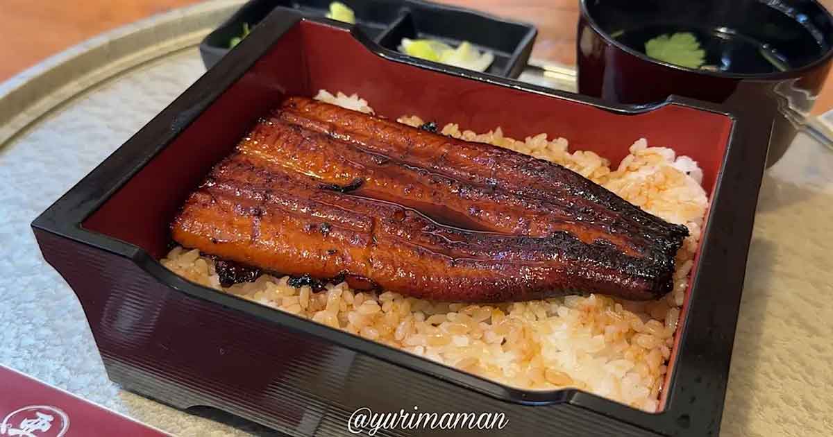 【閉店】うなぎ屋江戸名代亜門松山店｜サムネイル画像