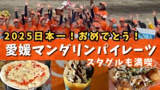 愛媛マンダリンパイレーツが10年ぶりの日本一を獲得した試合を伝えるサムネイル画像 - ゆりママんブログ 愛媛マンダリンパイレーツが10年ぶりの日本一を獲得した試合を伝えるサムネイル画像