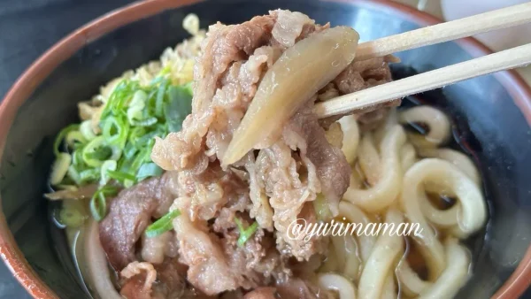 がんば亭川之江店の肉うどん｜甘辛お肉と柔らかめの麺2