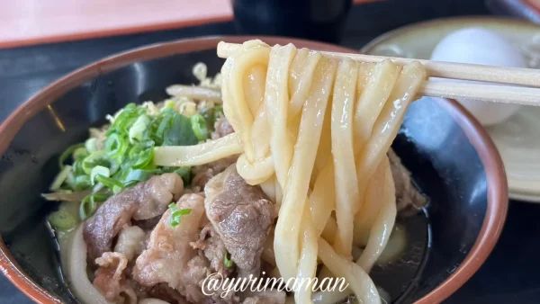 がんば亭川之江店の肉うどん｜甘辛お肉と柔らかめの麺3
