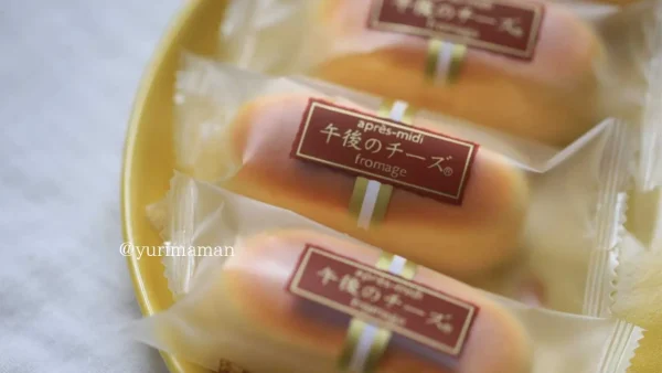 四国中央市「ゴトウ洋菓子店」の定番スイーツ「午後のチーズ」｜手土産にも人気のチーズケーキ