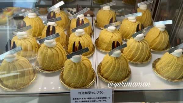 四国中央市「ゴトウ洋菓子店」の特選和栗モンブラン｜熊本県産和栗を使った秋限定スイーツ1