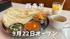 西条市小松町にオープンした「マダルインディア」サムネイル画像