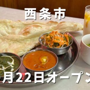 西条市小松町にオープンした「マダルインディア」サムネイル画像