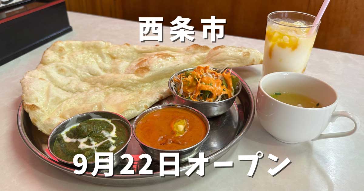 西条市小松町にオープンした「マダルインディア」サムネイル画像