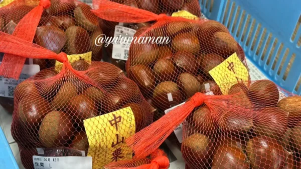 中山栗センターで販売されている新鮮な生栗。ネット入りで販売されている大粒の栗。