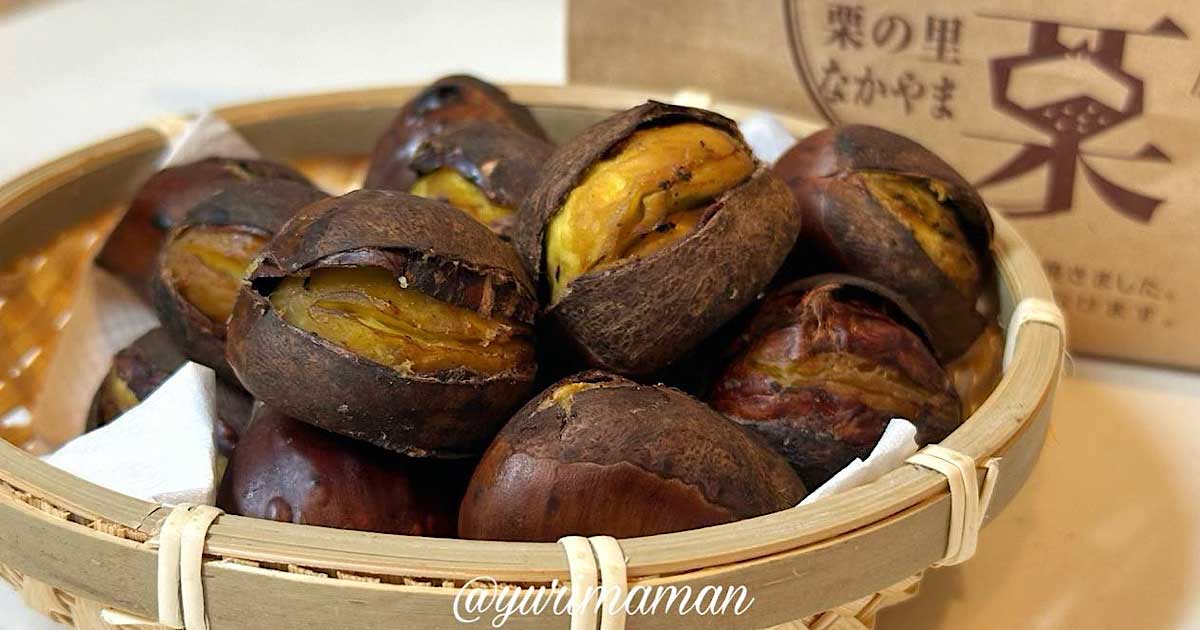 中山栗センターの焼き栗2025年販売スタート｜サムネイル画像