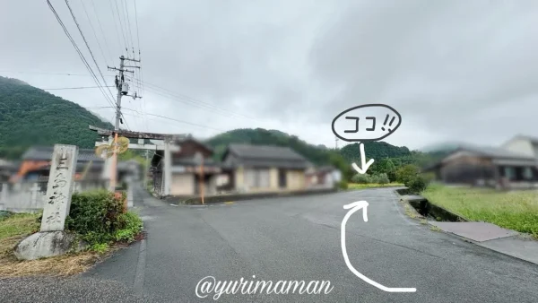 西条市小松町の三島神社の鳥居付近。彼岸花群生地への道案内ポイント