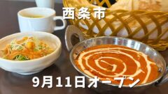 西条市「タージ・マハル東予店」サムネイル画像
