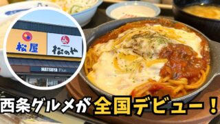 西条グルメと松屋のコラボ「西条てっぱんナポリタンハンバーグ」サムネイル画像