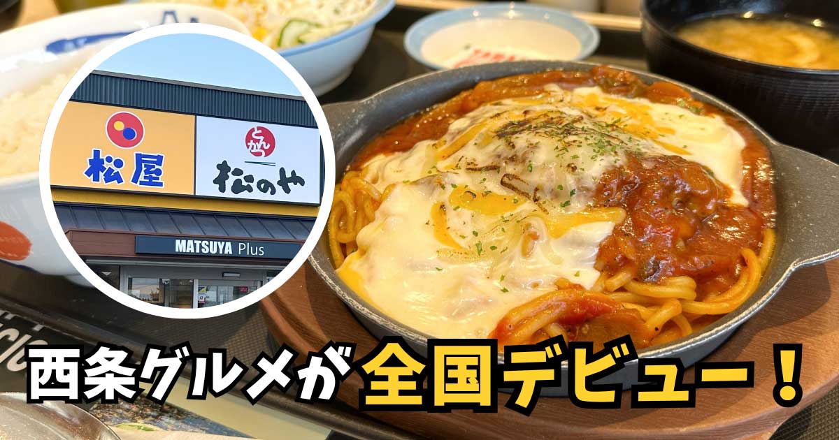 西条グルメと松屋のコラボ「西条てっぱんナポリタンハンバーグ」サムネイル画像