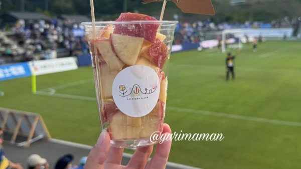 里山サロン｜りんご飴