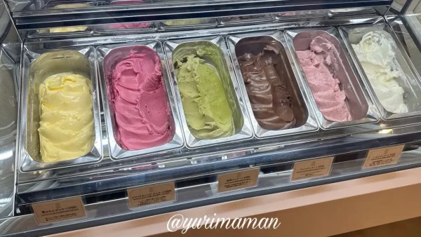 ミルクやブラッドオレンジなど6種類のジェラート｜パイ専門店Tsutsumi道後店