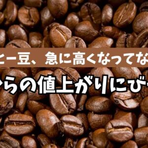 10月にコーヒー豆の値上がりを比較。ドンキ・カルディ・イオン｜サムネイル画像