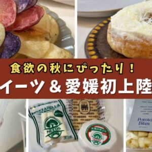 秋の北海道展2025（後半戦）いよてつ高島屋で開催！愛媛初上陸のチーズ＆ポテチなど限定グルメが登場