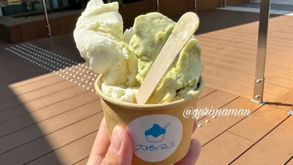 いよてつ高島屋 北海道展 初出店 大地のアイス
