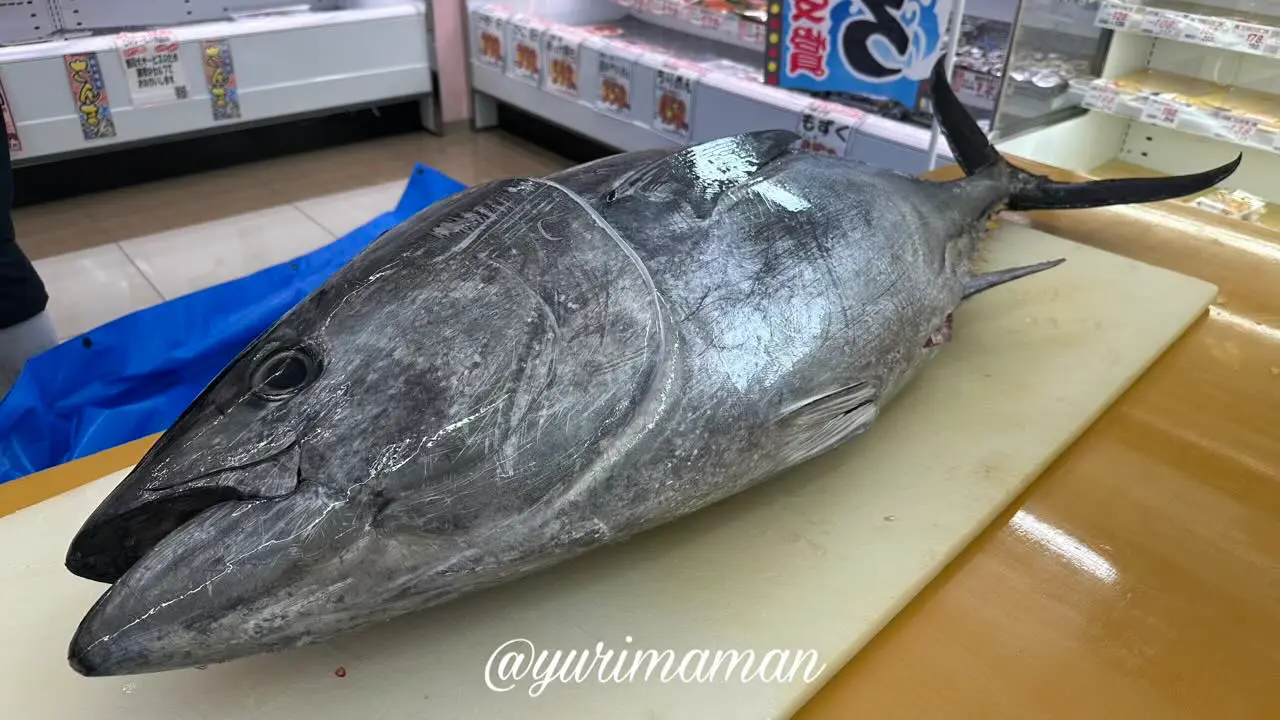 木村祭2025（朝生田店）当日の様子｜本まぐろ