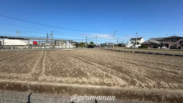 松前町のコスモス畑|エミフルの恋泉畑は更地に(2025年10月23日時点) - ゆりママんブログ 松前町のコスモス畑|エミフルの恋泉畑は更地に(2025年10月23日時点)