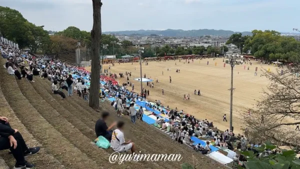 山根グラウンドの石段から見下ろす観覧席の様子。観客でにぎわう人気スポット2