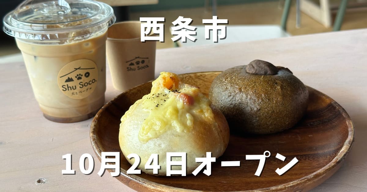 Shu Soco(シュウソーコ)西条市にオープン|サムネイル画像 - ゆりママんブログ Shu Soco(シュウソーコ)西条市にオープン|サムネイル画像