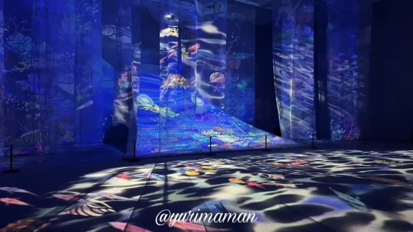 旅する光の切り絵展(愛媛県美術館)6 - ゆりママんブログ 旅する光の切り絵展(愛媛県美術館)6