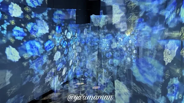 旅する光の切り絵展(愛媛県美術館)2 - ゆりママんブログ 旅する光の切り絵展(愛媛県美術館)2