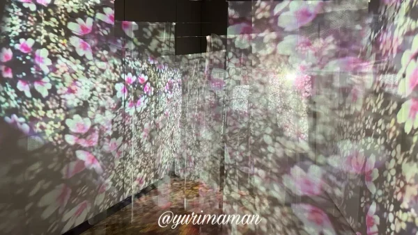 旅する光の切り絵展(愛媛県美術館)3 - ゆりママんブログ 旅する光の切り絵展(愛媛県美術館)3