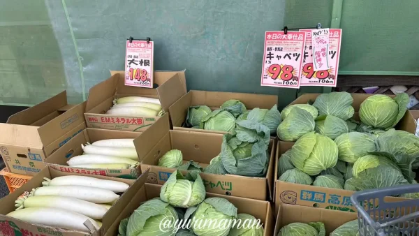 2025年10月の肉の日セールに並んだ98円キャベツ（木村チェーン）