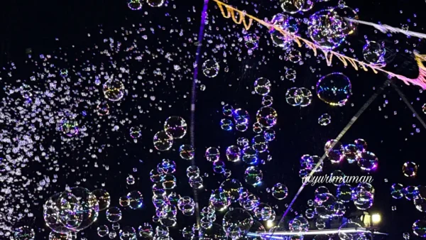 クリスマスナイト2025（松山市城山公園）開催決定