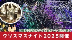 クリスマスナイト2025（松山市で開催）サムネイル画像