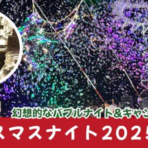 クリスマスナイト2025（松山市で開催）サムネイル画像