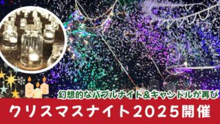 クリスマスナイト2025（松山市で開催）サムネイル画像