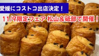 愛媛・東温市にコストコ出店決定！松山＆砥部で開催されるコストコフェアのサムネイル画像