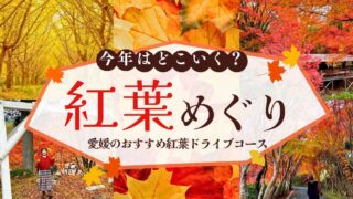 今年の紅葉どこ行く?愛媛の絶景ドライブコースまとめ|西条・新居浜・砥部・久万高原・四国中央市|サムネイル画像 - ゆりママんブログ 今年の紅葉どこ行く?愛媛の絶景ドライブコースまとめ|西条・新居浜・砥部・久万高原・四国中央市|サムネイル画像