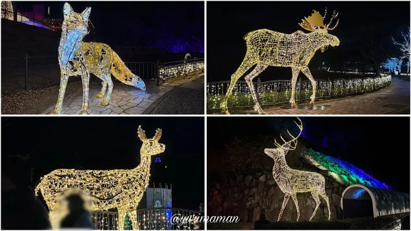 えひめこどもの城 フェスタルーチェ 動物イルミネーション - ゆりママんブログ えひめこどもの城 フェスタルーチェ 動物イルミネーション