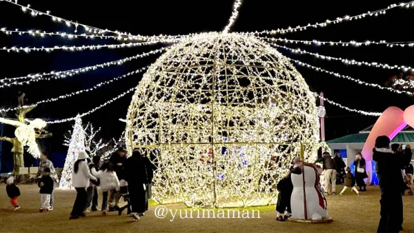 フェスタルーチェ愛媛 光の球体イルミネーション1 - ゆりママんブログ フェスタルーチェ愛媛 光の球体イルミネーション1