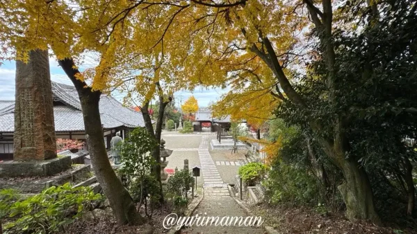 石段沿いに色づくもみじと落ち葉が美しい王至森寺の境内3 - ゆりママんブログ 石段沿いに色づくもみじと落ち葉が美しい王至森寺の境内3