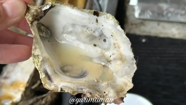 焼きあがった牡蠣の身がプリッとしたアップ写真2